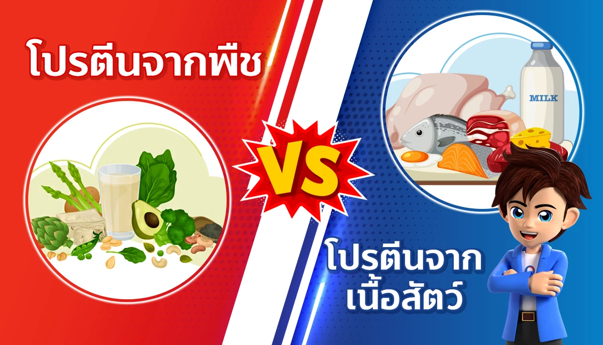 โปรตีน